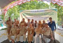 Tekan Inflasi, Bupati Luwu Utara Imbau Kepala Perangkat Daerah Belanja di Pasar Pangan Murah