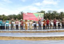 Bersama Ketua PKK Lutim, Budiman Menanam Bibit Cabai Merah di Mangkutana