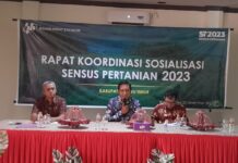 Kadis Kominfo Jadi Narasumber Pada Rakor Sosialisasi Sensus Pertanian 2023