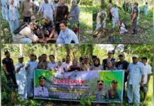 Sukseskan HMPI Sulsel, KPH Cenrana Tanam 600 Bibit Produktif di Bone Barat