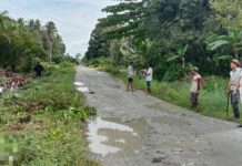 Dipantau Camat Malangke, Kades Takkalala Bersama Warga Lakukan Gotong Royong
