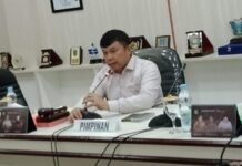 Soal Penerimaan Karyawan PT. Vale, DPRD Luwu Timur Juga Siap Dilibatkan