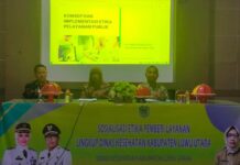 Selain Etika, Kadis Kesehatan Luwu Utara Juga Tekankan Pentingnya Profesional Dalam Pemberian Layanan