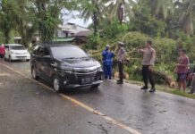 Gerak Cepat, Personel Polsek Baebunta Atur Lalin Akibat Pohon Tumbang