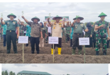 Bupati Bone Launching Kampung Hortikultura di Kompleks Batalyon Armed 21 Tarik, Ini Harapan Kadis TPHP