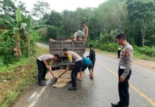 Respon Cepat, Satlantas Polres Morut Perbaiki Jalan Berlubang di Poros Trans Sulawesi