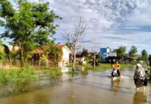 Akibat Diguyur Hujan Deras, Sungai Rongkong Meluap dan Rendam Sebagian Wilayah Desa Beringin Jaya
