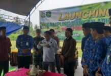 Kajari Luwu Timur Launching Kampung Pangan di Desa Argomulyo