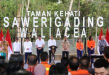 Budiman Saksikan Peresmian Taman Kehati Sawerigading oleh Presiden Jokowi