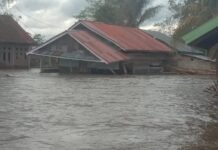 Sungai Rongkong Meluap, Satu Rumah Hanyut