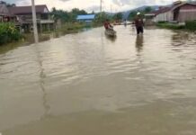 Ratusan Rumah di Petasia Barat Terendam Banjir, Warga Juga Gagal Panen