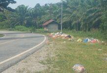 Dikira Hiasan Jalan, Ternyata Sampah Berserakan di Jalan Trans Sulawesi Luwu Timur