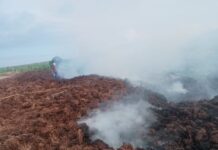 Penampungan Tonkos PTPN XIV Burau Terbakar, Warga Keluhkan Asap Masuk Permukiman