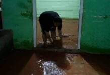 Tiga Desa di Morowali Utara Diterjang Banjir Campur Lumpur