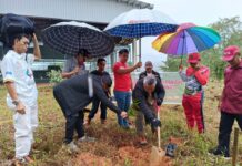 Gerakan “Peduli Ki Saya Jaga Ki”, Bupati Tanam Durian Jenis Musangking dan Bawor