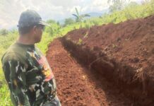 Pemkab Lutim Terus Intens Tangani Berjangkitnya Virus ASF, drh. Gusti Ngurah : Tidak Menular Ke Manusia