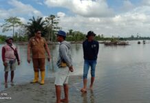 Ratusan Hektar Lahan Masyarakat Kecamatan Malangke terendam, Ini Penyebabnya!