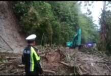 Material Longsor di Jalan Trans Sulawesi Mangkutana Sudah Bersih, Kendaraan Sudah Bisa Melintas