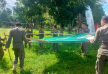 Ciptakan Lingkungan yang Asri, Satpol PP Luwu Timur Tertibkan Sejumlah Baliho Kadaluarsa