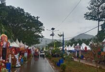 Ketua Panitia Tegaskan Boleh Ambil dan Bawa Pulang Tripleks Bekas Stand Expo Desa
