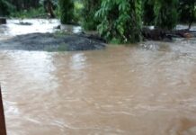 Selain Luapan Air Perkebunan PTPN Genangi Rumah Warga di Rantemario, Juga Terjadi Longsor !