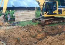 Angka Kematian Babi di Luwu Timur Akibat Virus ASF Terus Meningkat Peternak Rugi Puluhan Miliar