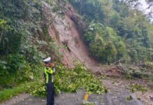 Jalan Trans Sulawesi di Mangkutana Tertutup Material Longsor, Motor Bisa Lewat !
