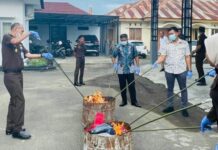 Kejari Bone Musnahkan Ratusan Gram Sabu dan Senjata Tajam