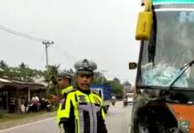 Mobil Bus Tujuh Dua Tabrak Motor di Burau, Korban Tewas di Tempat