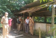Terpapar Virus, 22 Ribu Ternak Babi di Luwu Timur Mati, di Burau Sisa 5 Ekor