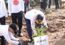Bupati Bersama Forkopimda Peringati Hari Lingkungan Hidup Sedunia dengan Tanam 1000 Pohon