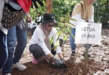 Peringati Hari Lingkungan Hidup Sedunia, Ketua TP PKK Lutim Ajak Tanam Pohon