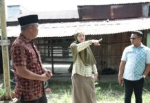 Tahun Depan, Bupati Luwu Timur Siapkan Anggaran Rp. 20 Miliar Bangun Pasar Tomoni