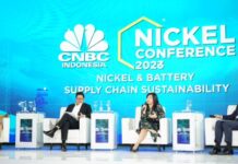 CEO PT Vale Optimis Dalam Menjalankan Program Hilirisasi Nikel