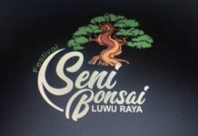 PPBI Luwu Utara Akan Laksanakan Festival Seni Bonsai Se-Luwu Raya