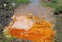 CPO Sawit Diduga Milik PT. Teguh Wira Pratama Luwu Timur Tumpah di Selokan