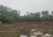 Warga Tolak Pembangunan Pabrik Gabah, Komisi III DPRD Luwu Timur Minta Perhatikan Dampak Lingkungan