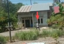 Video Siswa SMP di Luwu Jalan Kaki Belasan Kilometer, Rupanya Warga Kurang Mampu