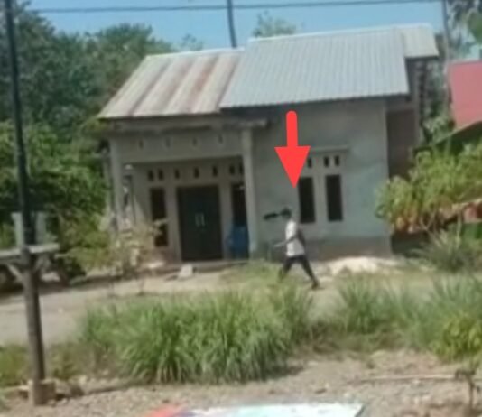 Video Siswa SMP di Luwu Jalan Kaki Belasan Kilometer, Rupanya Warga Kurang Mampu