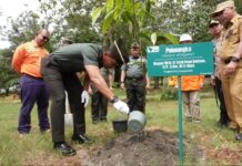 Berkunjung ke PT Vale, Pangdam XIV/Hasanuddin Lakukan Penanaman Pohon