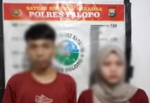 Hendak Edarkan Obat Daftar G, Pasutri di Palopo Ditangkap Polisi