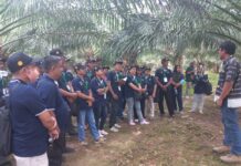 Peserta Pelatihan Pengembangan SDM Perkebunan Sawit, Field Trip ke PTPN XIV Luwu 2