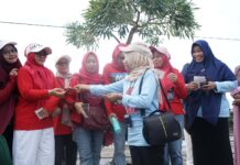 Sosialisasi SP4N-LAPOR!, Diskominfo Lutim Bagi-bagi Sticker di Jalan Sehat “JALISA”