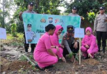 Program Polri Lestarikan Negeri Penghijauan Sejak Dini, Polsek Baebunta Tanam puluhan Pohon