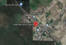 Lahan di Loeha 90 Persen Masuk Kawasan Hutan Termasuk Tanamalia