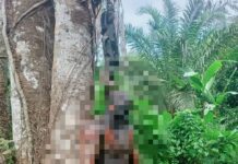 Ada Mayat Tergantung Ditemukan di Mori Atas, Kondisinya Mulai Membusuk
