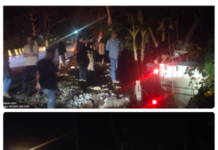Breaking News : Diduga Hilang Kendali, Mobil Truk Box Terjun Bebas