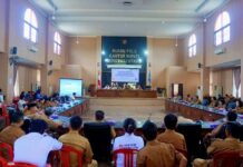 33 Mobil Dinas di Morut Akan Dilelang, Cek Syarat dan Mereknya !