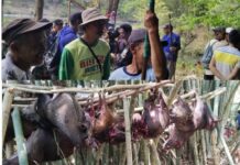 Tradisi “Maddengeng” Desa Padaelo Lamuru, Dipadati Ribuan Masyarakat
