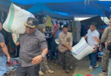 Bersama Tim Gabungan, Disdagkop UKMP Lutim Tertibkan Pedagang di Terminal Wawondula